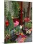 Florist in Ile St. Louis, Paris, France-Lisa S. Engelbrecht-Mounted Photographic Print