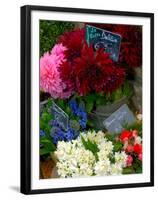 Florist in Ile St. Louis, Paris, France-Lisa S. Engelbrecht-Framed Premium Photographic Print