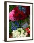 Florist in Ile St. Louis, Paris, France-Lisa S. Engelbrecht-Framed Premium Photographic Print