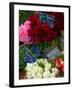 Florist in Ile St. Louis, Paris, France-Lisa S. Engelbrecht-Framed Premium Photographic Print