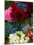 Florist in Ile St. Louis, Paris, France-Lisa S. Engelbrecht-Mounted Photographic Print