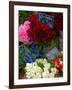 Florist in Ile St. Louis, Paris, France-Lisa S. Engelbrecht-Framed Photographic Print