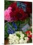 Florist in Ile St. Louis, Paris, France-Lisa S. Engelbrecht-Mounted Photographic Print