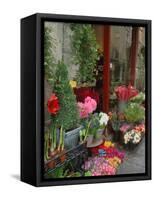 Florist in Ile St. Louis, Paris, France-Lisa S. Engelbrecht-Framed Stretched Canvas