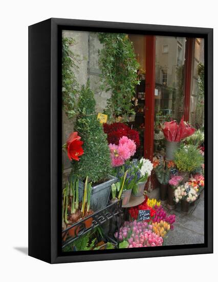 Florist in Ile St. Louis, Paris, France-Lisa S. Engelbrecht-Framed Stretched Canvas