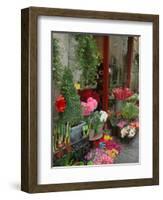 Florist in Ile St. Louis, Paris, France-Lisa S. Engelbrecht-Framed Photographic Print