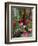 Florist in Ile St. Louis, Paris, France-Lisa S. Engelbrecht-Framed Photographic Print