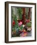 Florist in Ile St. Louis, Paris, France-Lisa S. Engelbrecht-Framed Photographic Print