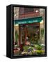 Florist in Ile St. Louis, Paris, France-Lisa S. Engelbrecht-Framed Stretched Canvas