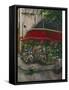 Florist on the Rive Gauche-Betty Lou-Framed Stretched Canvas