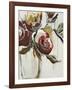 Florist Pickings-Angela Maritz-Framed Giclee Print