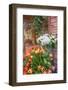 Florist shop, Cabourg, Normandy, France-Lisa S. Engelbrecht-Framed Photographic Print