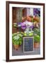 Florist shop, Cabourg, Normandy, France-Lisa S. Engelbrecht-Framed Photographic Print