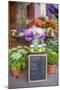 Florist shop, Cabourg, Normandy, France-Lisa S. Engelbrecht-Mounted Photographic Print