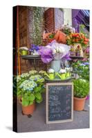 Florist shop, Cabourg, Normandy, France-Lisa S. Engelbrecht-Stretched Canvas