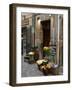 Florist Shop, Languedoc-Roussillon, France-Lisa S. Engelbrecht-Framed Photographic Print