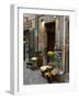 Florist Shop, Languedoc-Roussillon, France-Lisa S. Engelbrecht-Framed Photographic Print