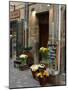 Florist Shop, Languedoc-Roussillon, France-Lisa S. Engelbrecht-Mounted Photographic Print
