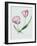 Florists Tulip Mabel-Sally Crosthwaite-Framed Giclee Print