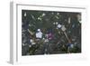 Flotsam in Seawater-Robert Brook-Framed Photographic Print