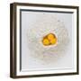 Flour and Eggs-Steve Gadomski-Framed Photographic Print