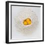 Flour and Eggs-Steve Gadomski-Framed Photographic Print