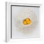 Flour and Eggs-Steve Gadomski-Framed Photographic Print