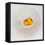 Flour and Eggs-Steve Gadomski-Framed Stretched Canvas