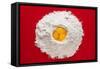 Flour And Eggs-Steve Gadomski-Framed Stretched Canvas