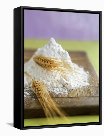 Flour and Wheat on Cutting Board-Leigh Beisch-Framed Stretched Canvas