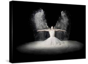 Flour Wings-Pauline Pentony Ba-Stretched Canvas
