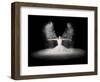 Flour Wings-Pauline Pentony Ba-Framed Photographic Print