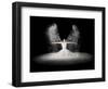 Flour Wings-Pauline Pentony Ba-Framed Photographic Print