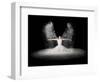 Flour Wings-Pauline Pentony Ba-Framed Photographic Print