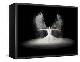 Flour Wings-Pauline Pentony Ba-Framed Stretched Canvas