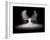 Flour Wings-Pauline Pentony Ba-Framed Premium Photographic Print