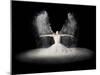 Flour Wings-Pauline Pentony Ba-Mounted Premium Photographic Print