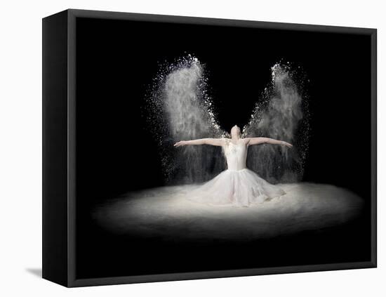 Flour Wings-Pauline Pentony Ba-Framed Stretched Canvas