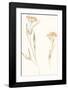 Flourish Duet-Kristine Hegre-Framed Giclee Print