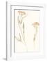 Flourish Duet-Kristine Hegre-Framed Giclee Print