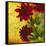 Flourish Flowers-Jenaya Jackson-Framed Stretched Canvas