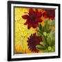 Flourish Flowers-Jenaya Jackson-Framed Art Print