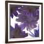 Flourish I-Katrien Soeffers-Framed Giclee Print