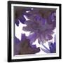 Flourish I-Katrien Soeffers-Framed Giclee Print