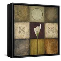 Flourish I-Michael Marcon-Framed Stretched Canvas