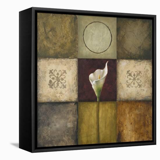 Flourish I-Michael Marcon-Framed Stretched Canvas