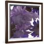 Flourish II-Katrien Soeffers-Framed Giclee Print