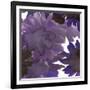 Flourish II-Katrien Soeffers-Framed Giclee Print