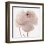 Flourish - Serene-Katja Marzahn-Framed Giclee Print