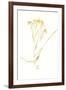 Flourish Song-Kristine Hegre-Framed Giclee Print